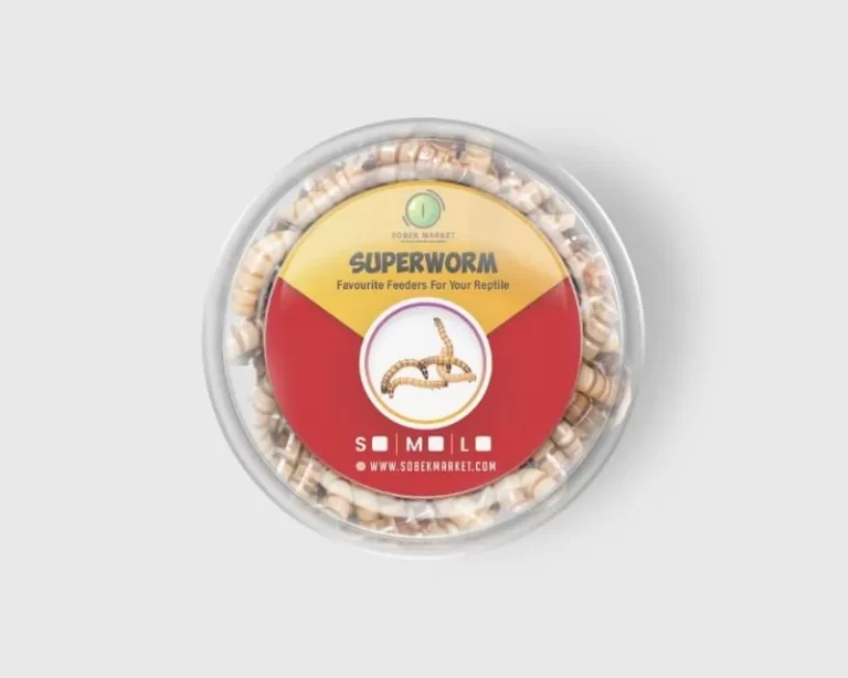 805c4202-de2a-446e-9827-5960ee92fd4f