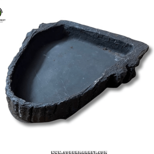 طبق طعام الزواحف