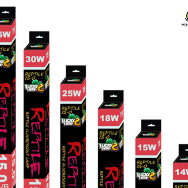 Lucky Herp UVB 15.0 T8 Fluorescent Lamp