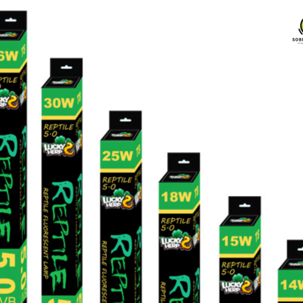 Lucky Herp UVB 5.0 T8 Fluorescent Lamp