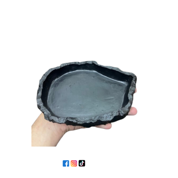 Repti dish H1